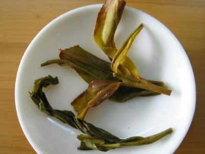 四种人不宜喝桑叶茶你好医生糖尿病人喝什么茶有好处（四种人不宜喝桑叶茶）