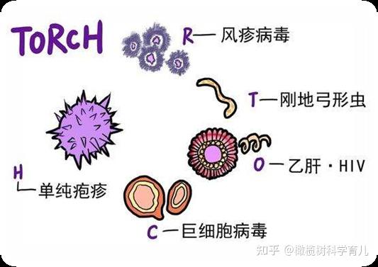 支原体是怎么感染上的怎么治疗（支原体是怎么感染上的）