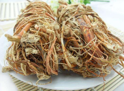 生的五指毛桃根的功效与作用（五指毛桃根的功效与作用）