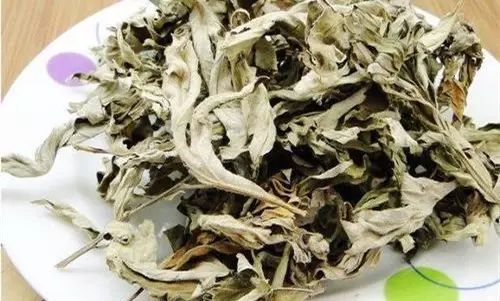 艾草的功效和作用泡脚可以止痒（艾草的功效和作用泡脚）