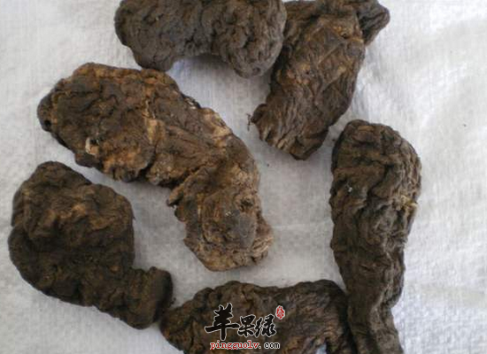 熟地黄的功效与作用吃法大全（熟地黄的功效与作用是什么）