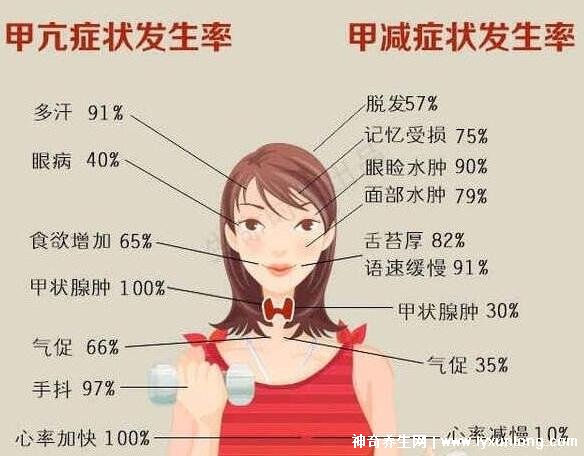 女性甲状腺的8个征兆图片（女性甲状腺的8个征兆）