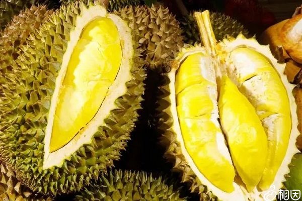 怀孕1一3月禁吃的十大水果_孕期饮食禁忌_小心流产（怀孕1一3月禁吃的十大水果）