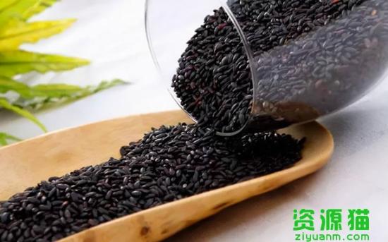 黑米饭怎么做好吃又软（长期吃黑米的害处）