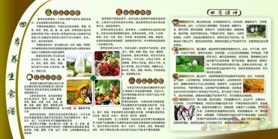 四季养生食材（四季养生食谱一览表）