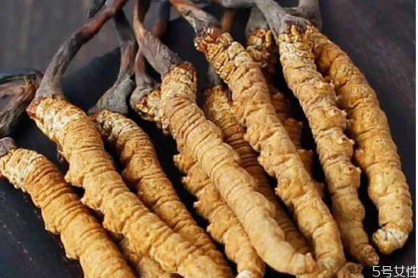 冬虫夏草的全图（冬虫夏草图片生长照片）