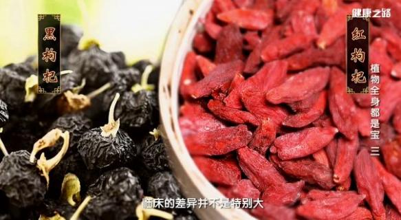 枸杞对男性性功能有用吗（红枸杞和黑枸杞哪个补肾效果好）