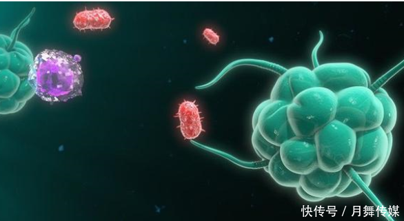 无症状感染者都是身体好的吗（无症状感染者是体质好还是差）