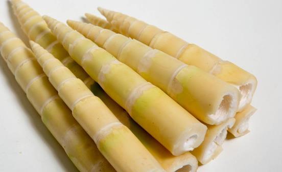 竹笋的副作用和禁忌（竹笋的功效和作用）