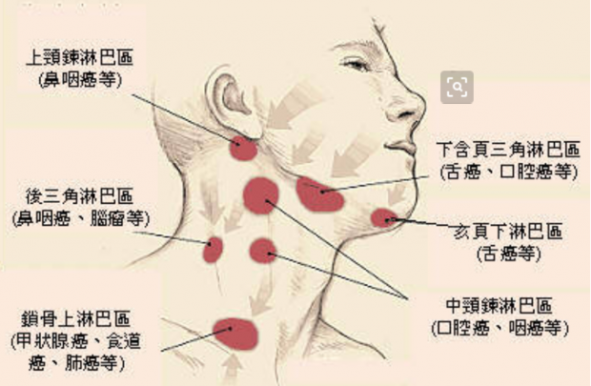 良性淋巴结一般不超过多大需要手术（良性淋巴结一般不超过多大）
