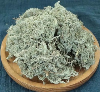 茵陈的作用与功效禁忌（茵陈的作用与功效）