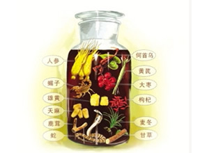 养生药酒配方大全泡酒之家（经典养生药酒配方大全）