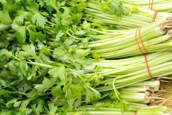 芹菜的营养价值及功效和禁忌是什么（芹菜的营养价值及功效）