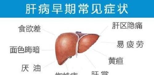 肝病的前期预兆（肝病有哪些症状刚开始的时候）