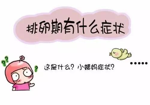 着床成功的第一感觉（排卵期的三个小暗示）