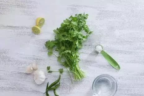 香菜煮水的功效与作用用法用量（香菜煮水的功效与作用）