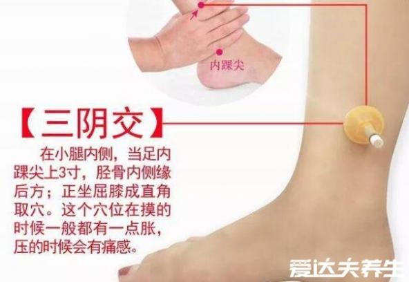 按摩三阴焦位置图和作用（三阴焦位置图和作用）