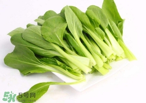 小白菜的功效与作用（油麦菜的功效与作用）