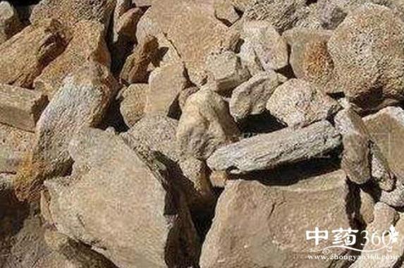 生龙骨的功效与作用（生龙骨的功效与作用的功能与主治）
