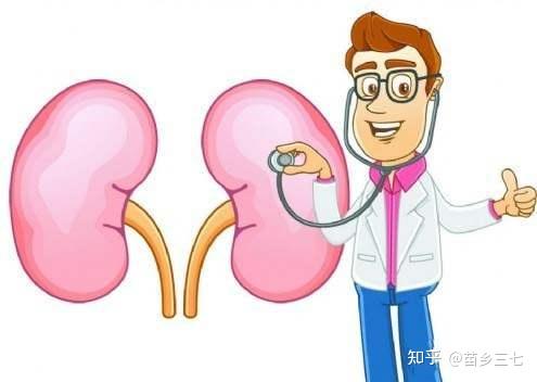 肾炎早期的10个信号（男性两侧肾部隐隐疼痛）