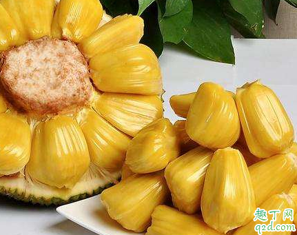 菠萝蜜一次可以吃几颗（孕妇吃菠萝蜜一次可以吃几颗）