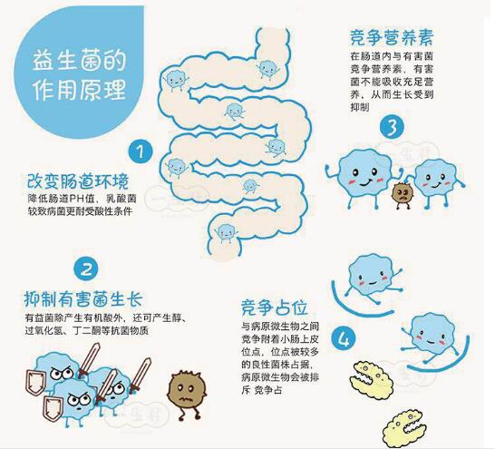 过敏性鼻炎说明体质差（免疫力提高了鼻炎会好吗）