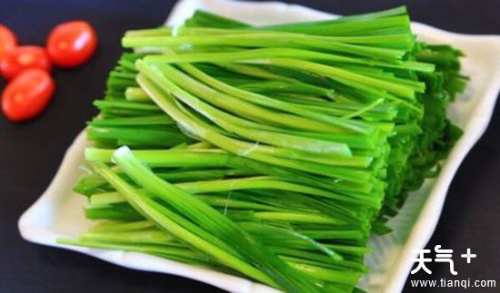 韭菜的功效与禁忌（韭菜根的作用与功效）