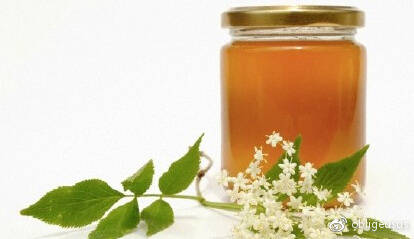 枣花蜂蜜和洋槐蜂蜜哪个好（洋槐蜜和枣花蜜哪个好）