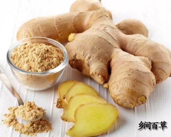 生姜的功效与作用及禁忌（干姜与生姜的功效与作用及禁忌）