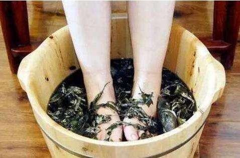 女士艾草泡脚的禁忌（女性艾草泡脚的好处与坏处）