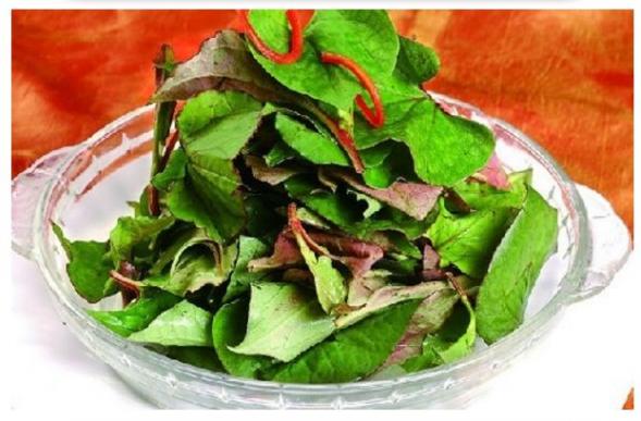 肺部肿瘤最怕的10种食物（中医治疗肺肿瘤最佳治疗方法）