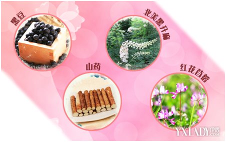 女性常吃山药的危害（山药对男性性功能有什么帮助）