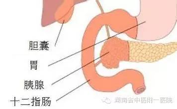 肝病不好有哪些症状（肝病不好有哪些症状如何治疗）