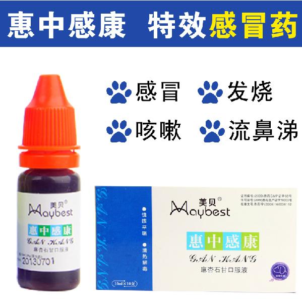 狗狗发烧感冒吃什么药好得快（狗狗感冒可以吃人吃的哪种药）