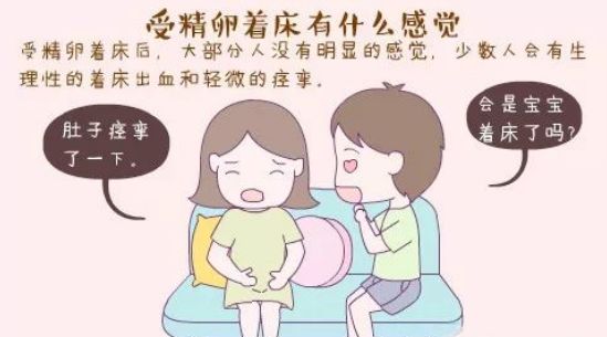 受孕成功的前兆几天出现（受孕成功前几天的前兆）