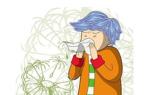 土方法治过敏性鼻炎（民间偏方治过敏性鼻炎）