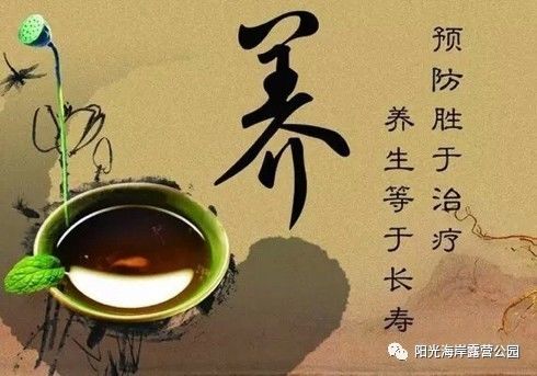 中医养生理念（中医养生理念是什么）