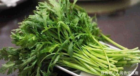 三种人不能吃茼蒿（什么人不易吃茼蒿）