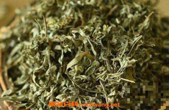 经常用艾叶泡脚有什么好处与坏处（艾叶泡脚降火还是上火）