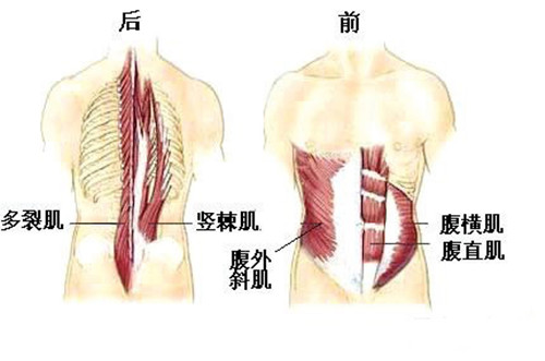 腰肌劳损疼痛位置图（腰肌劳损疼痛位置图最佳睡姿）