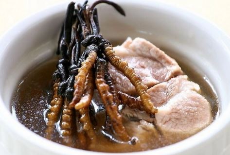 虫草泡水的最佳方法（虫草泡水的最佳方法视频）