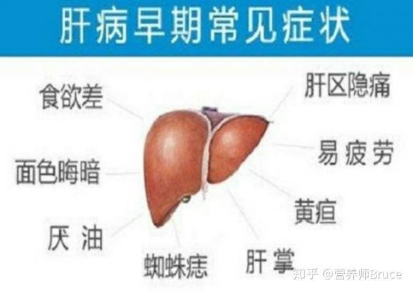 早期肝病的八大症状（怎么判断自己有没有肝病）