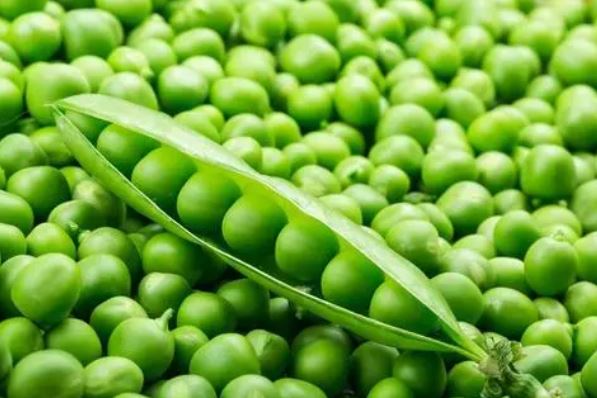 十大豆类营养排名（十大豆类营养排名前十）