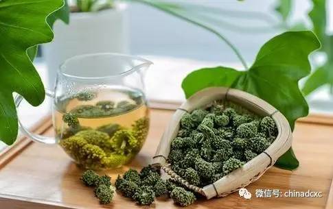 三七花有什么功效和作用（三七有什么功效和作用）