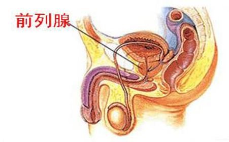 非淋菌性尿道炎的症状（非淋菌性尿道炎的症状潜伏期）