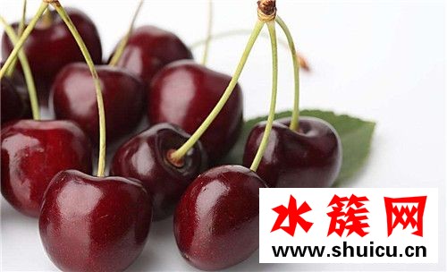 1、桂圆