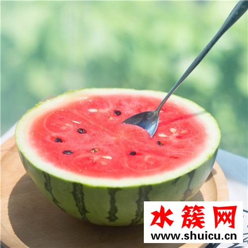 1、桂圆