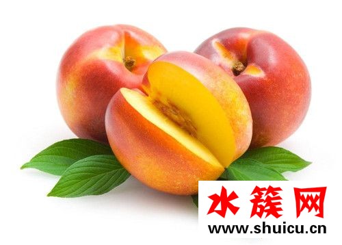 1、桂圆