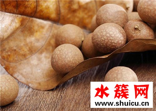 1、桂圆