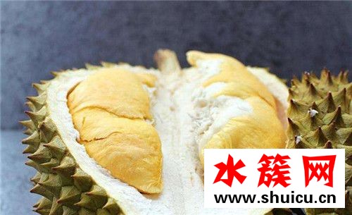 1、桂圆
